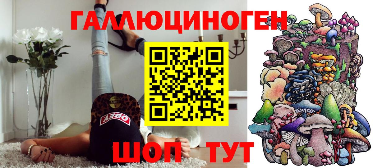 Сертолово  Галлюциногенные грибы прущие грибы  Вход с VPN 